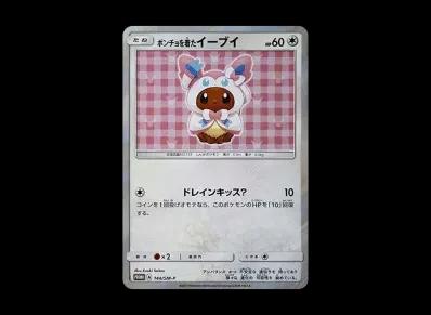 ポンチョを着た伊布 宣传