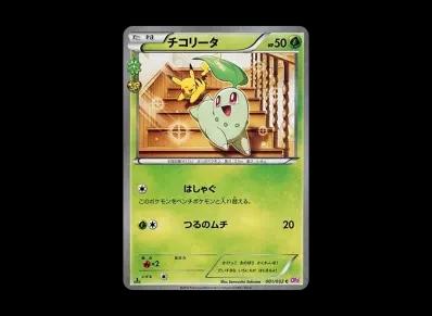 菊草叶 1ED（コンセプト卡包「ポケキュンコレクション」）